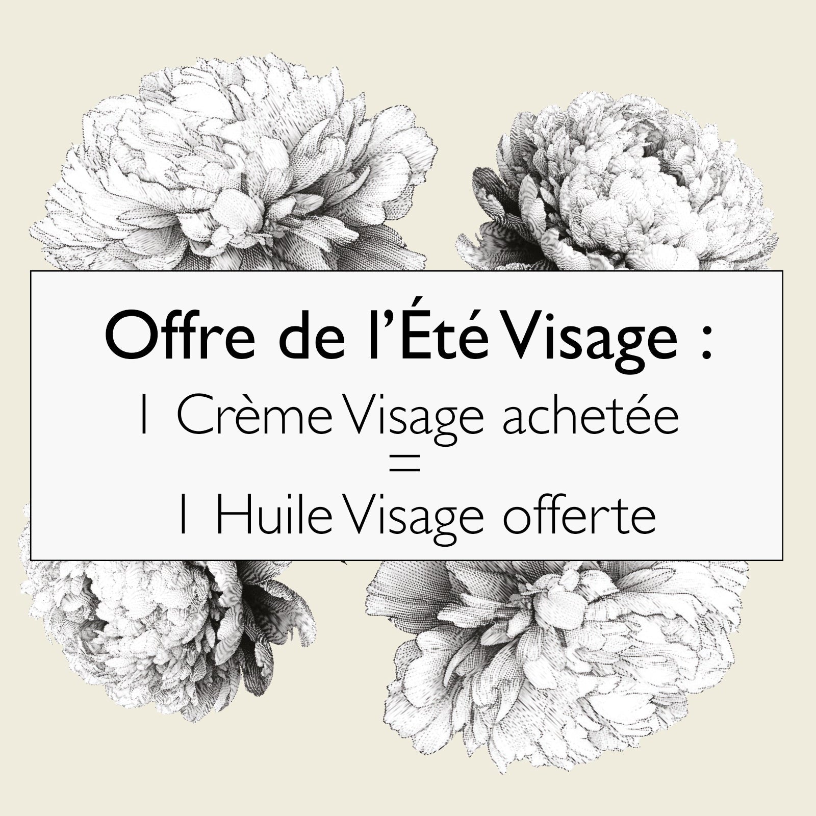 fdm2513copie_2048x2048_7123f393-dca1-416d-963c-9b18284a7ee8.jpg