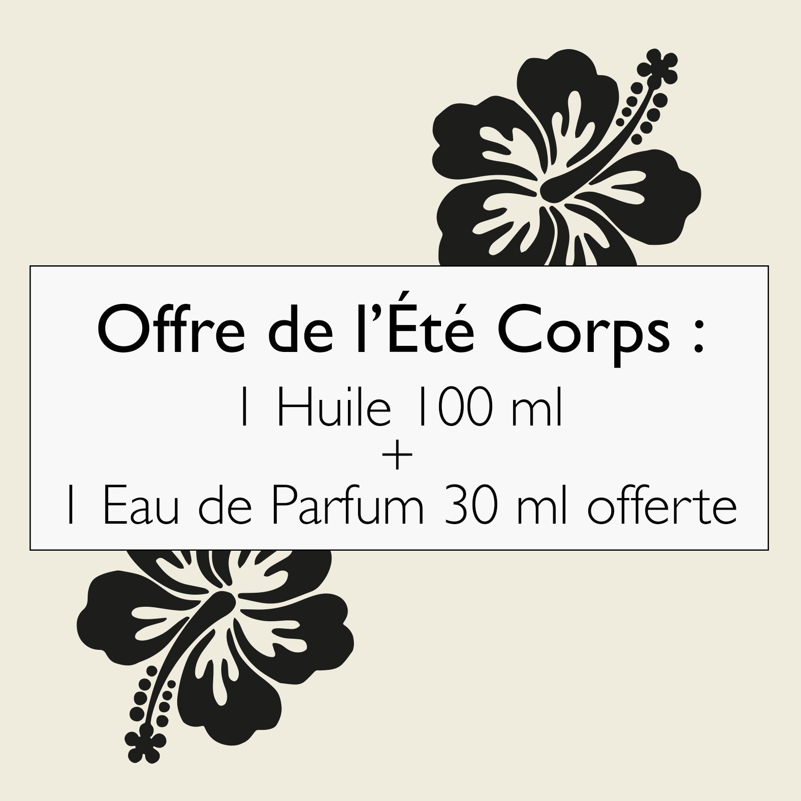 fdm251copie_2048x2048_624191e0-2162-4973-a547-c6af0ebbedb1.jpg