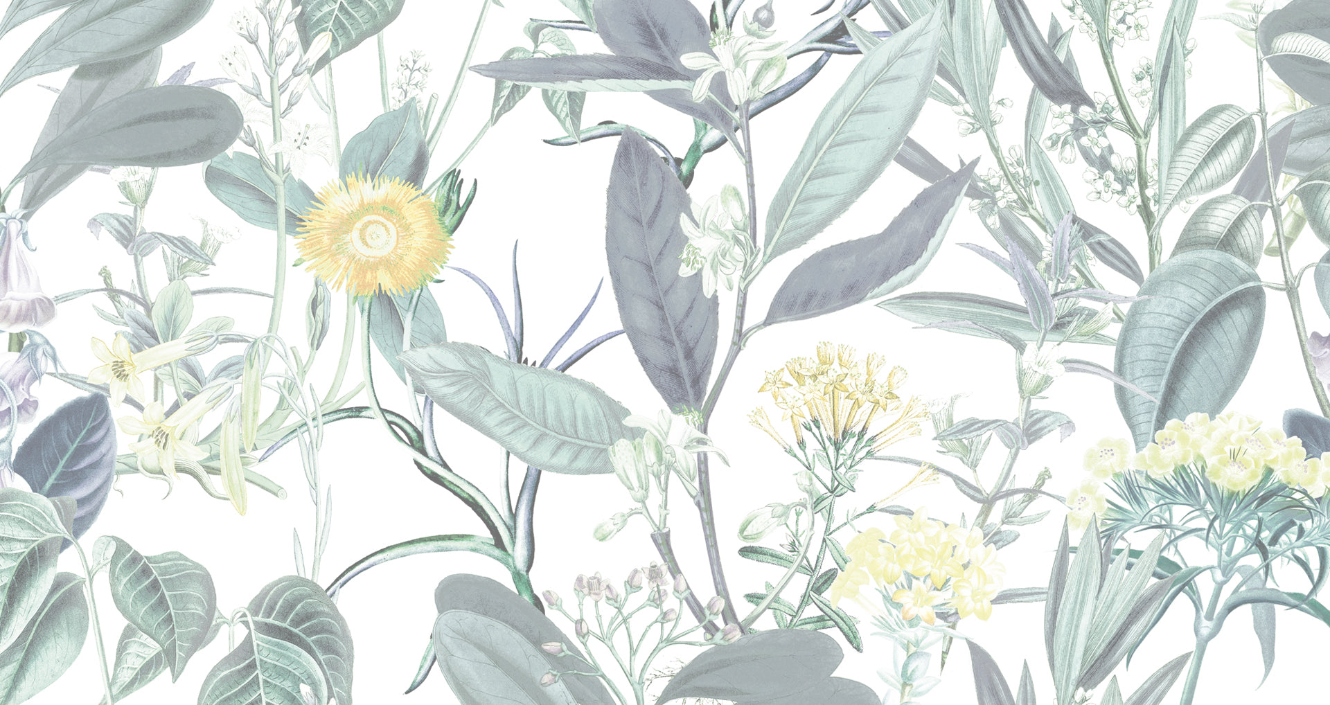 frond_frise_verveine.jpg